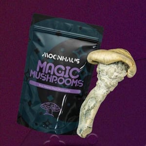 Buy shrooms from Moonhaus