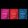 Cialis Gummies – 100MG - My Magnet