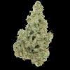 Cap Junky Hybrid